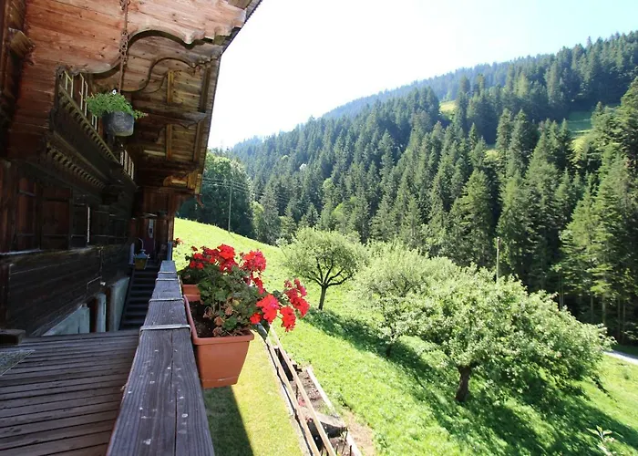 Les Favrod Appartement